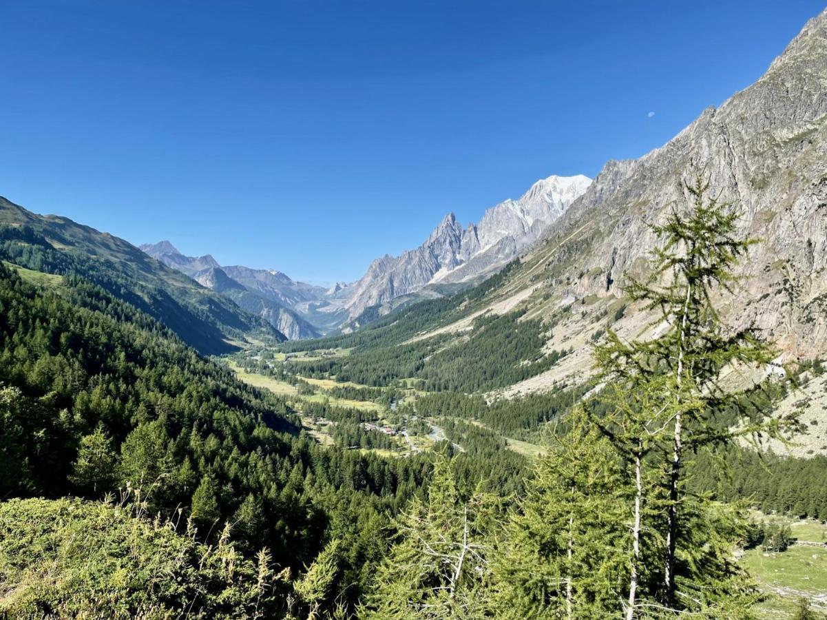 Vallee Blanche 3*