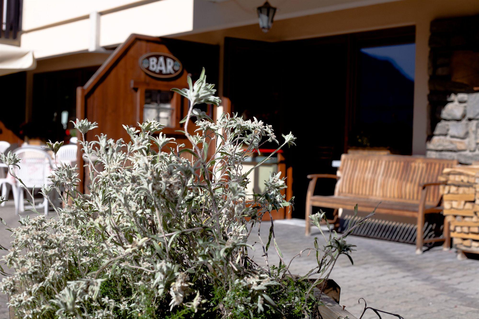 Vallee Blanche Hotel 3*
